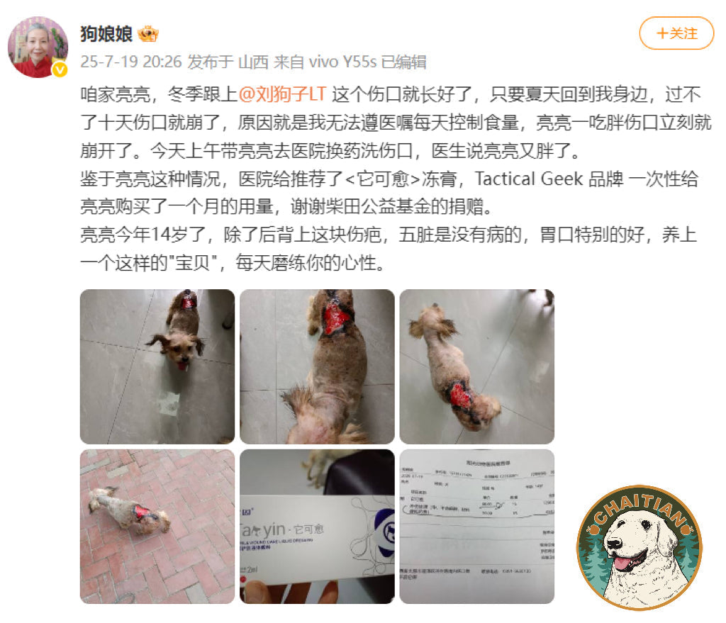 TacticalGeek CHAI TIAN Community Projects – Liangliang's Medical Expenses